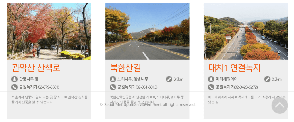 서울 단풍길
