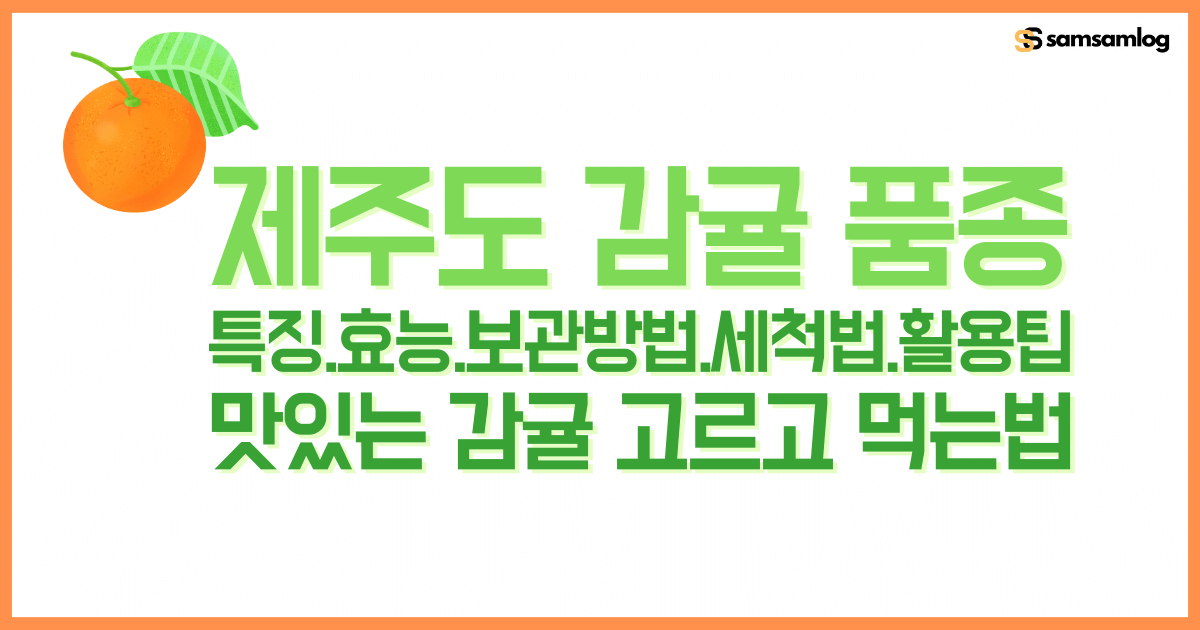 제주도 감귤 품종 종류.특징,효능.보관방법.세척법.활용팁.맛있는 감귤 고르고 먹는법