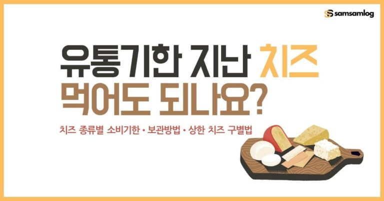 유통기한 지난 치즈 먹어도 되나요-치즈 종류별 소비기한.보관방법.상한 치즈 구별법