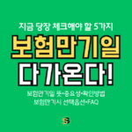 보험 만기일이 다가온다! 지금 당장 체크해야 할 5가지