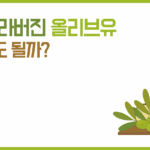 엑스트라 버진 올리브유 가열해도 될까, 등급별 발연점·산도·사용법 총정리